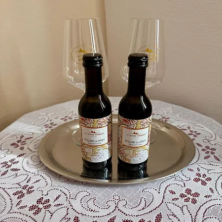 Vinna Kavarna Гостевой дом 3*