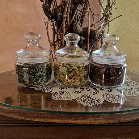 Vinna Kavarna 3* Микулов