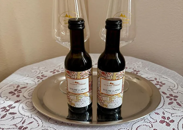 Vinna Kavarna Pensjonat 4*