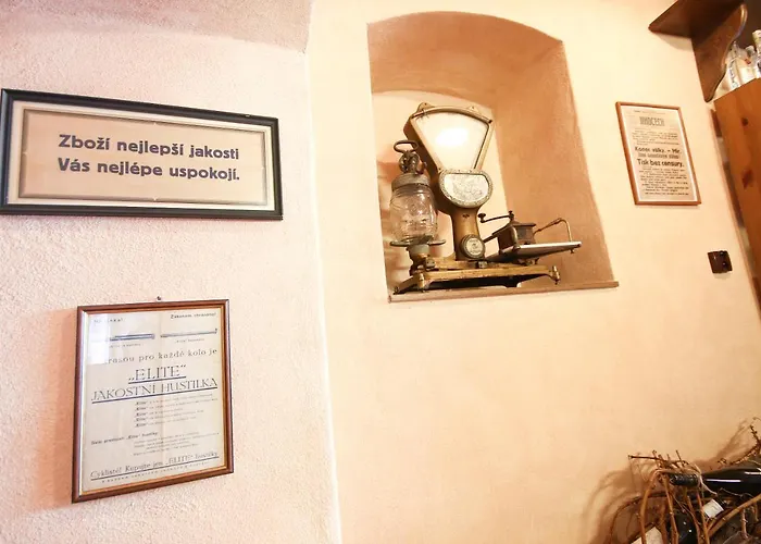 Pensionat Vinna Kavarna 4*